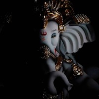 Vighnesh Mani