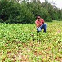 sudhan bcom