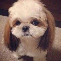 邓吉新