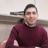 Ahmed Samir Shaalan