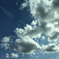 Al.Badr Almarri
