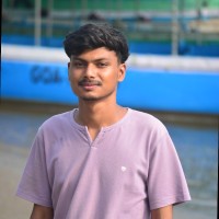 Mukesh Paul