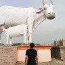 Om Prakash Prajapat