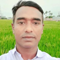 Nobi Hossin