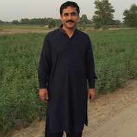 haroon azeem