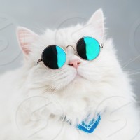 Michael Gato