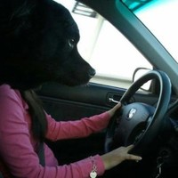 Jesús María Pulido