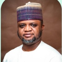 Ismaila Sule, FCTI, FCA