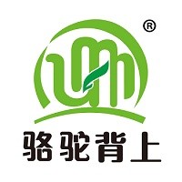 崔淑宁