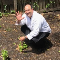 Avi Cohen