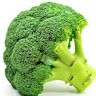 Benjamin Broccoli