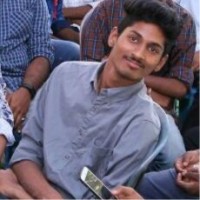 Narasimha Rao Meda