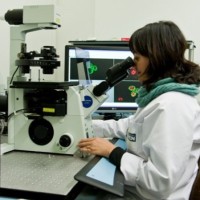 Marta Maria Rubio-Texeira