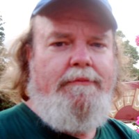 Mark J Palmer