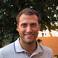 Leonardo Mani