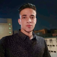 Mahmoud Abdelfattah Aziz