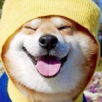 黄大庆