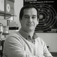 José A. Traverso