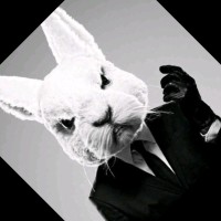 Little Rabbit