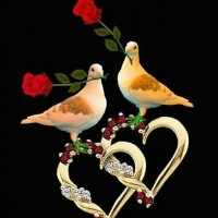 Md Omornur