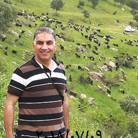 Mohammed Alkaissi