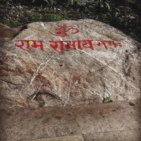 Dibakar D Roy