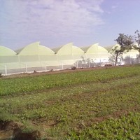 S.K VAYEDA.