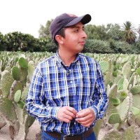 Luis Edson Ramírez Arriaga