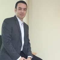 M. Helmi Zein Eldin