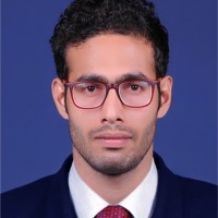 Arif Mohammed K.M