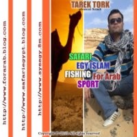 tarek tork