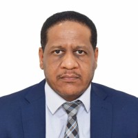 Elmuiz Ledeen Ellah, Mba, Prince2®