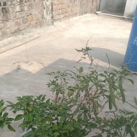 Ghanshyam Patil