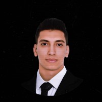 Mohanad M. AbdelWareth