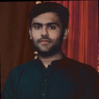 Muhammad Hamza Arif