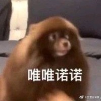 杨梓琦