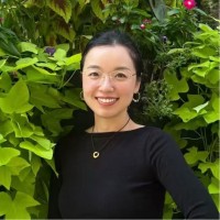 Di Chen