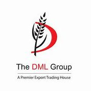 THE DML GROUP INDIA