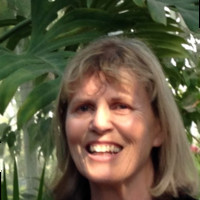 Ann Boscardin