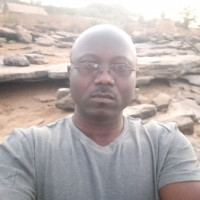 Faucon NOIR
