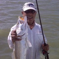 David Mendez