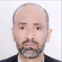 Wali Hatam