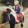 Некит Воронков