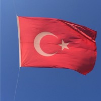 hakan yavuz