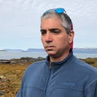 Tal Azogui