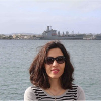 Simin Shamsfallah