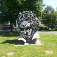 T Toor