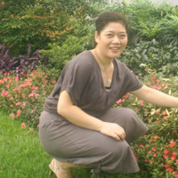 徐宏丽
