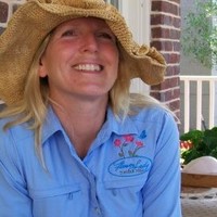 Denise Meier