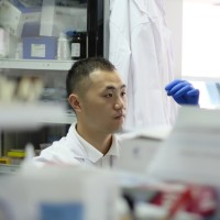 Sen Ye, Phd